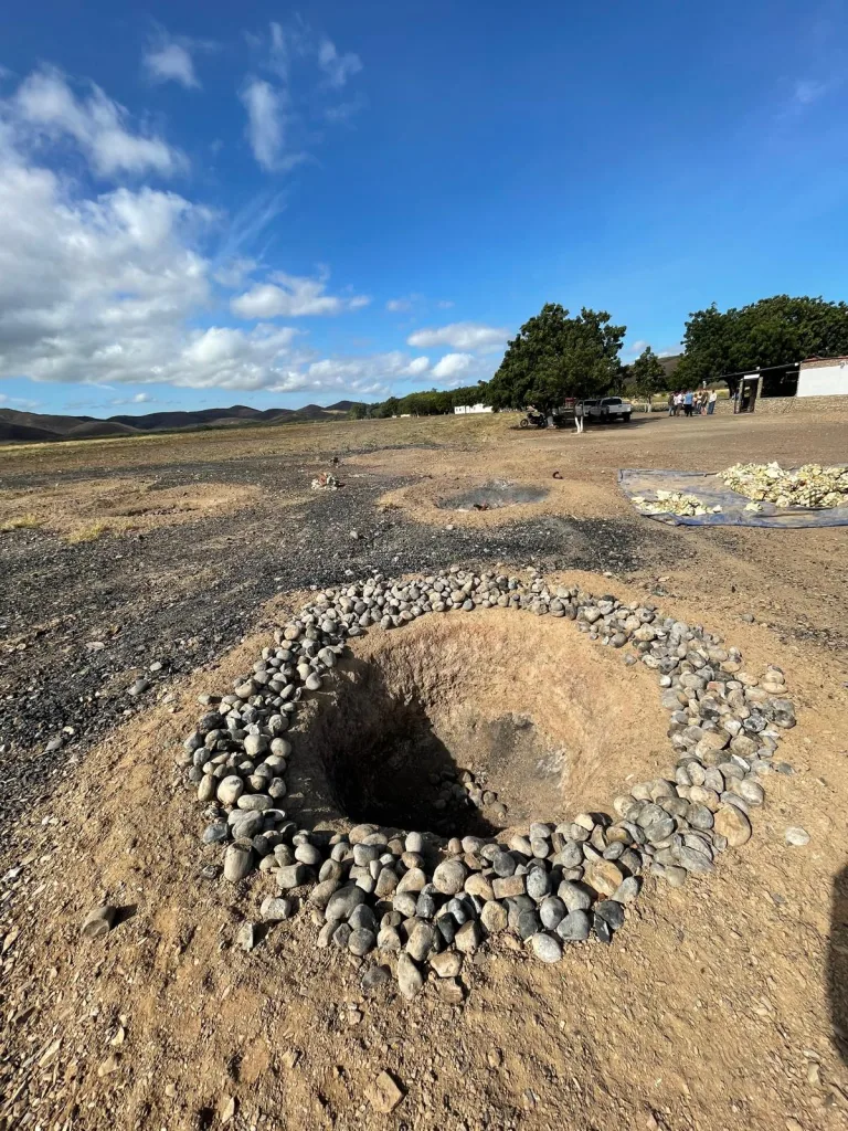 Cocuy La Capilla: un destilado 100% agave que rescata métodos ancestrales