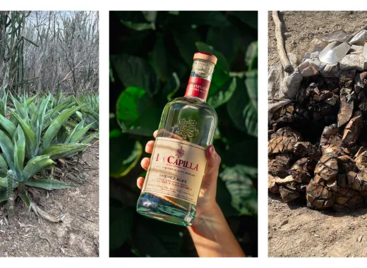 Cocuy La Capilla: un destilado 100% agave que rescata métodos ancestrales