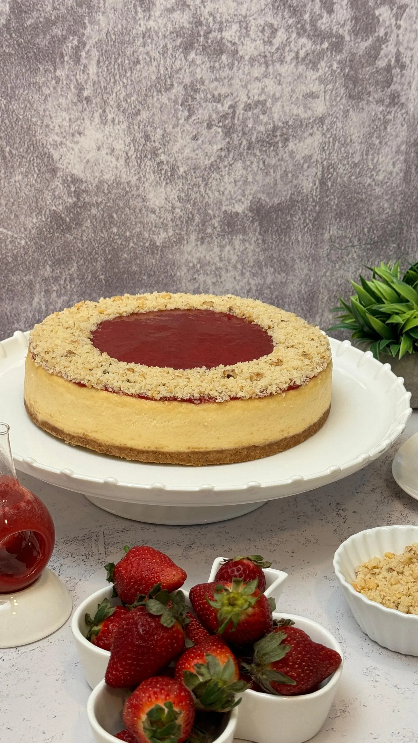 Anix Cheesecake: