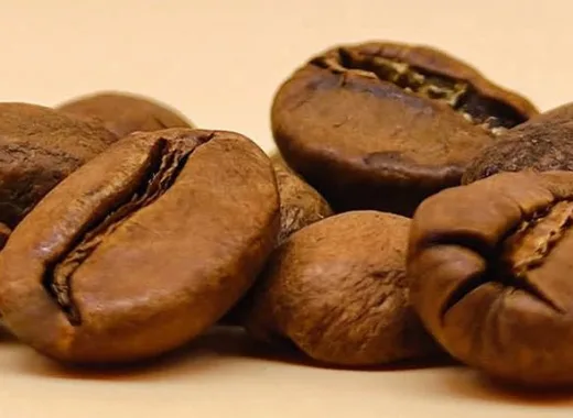 Top 10 de los mejores cafés cultivados en Venezuela