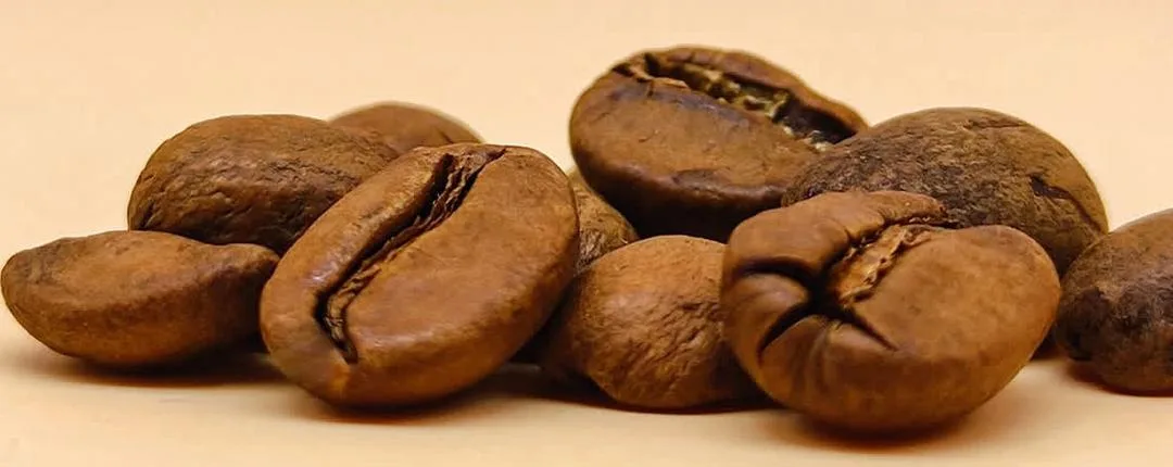 Top 10 de los mejores cafés cultivados en Venezuela