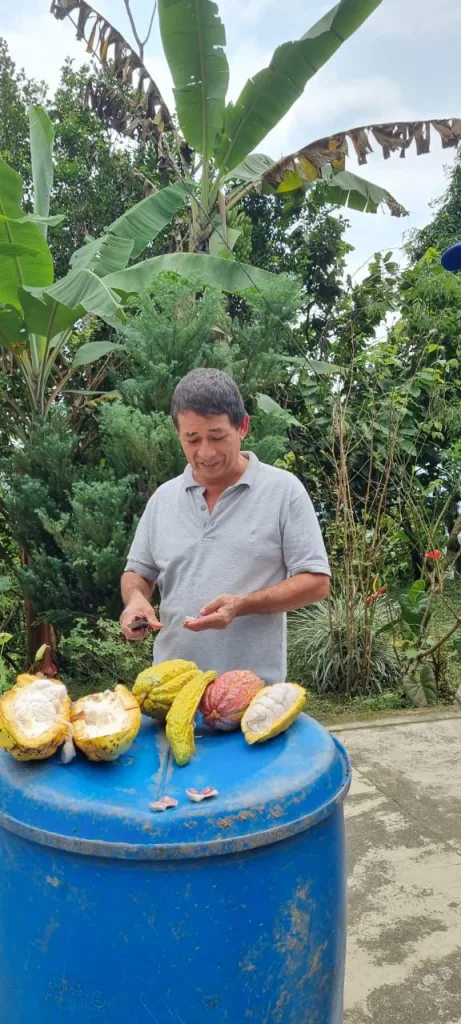 cacao mèrida cakawa