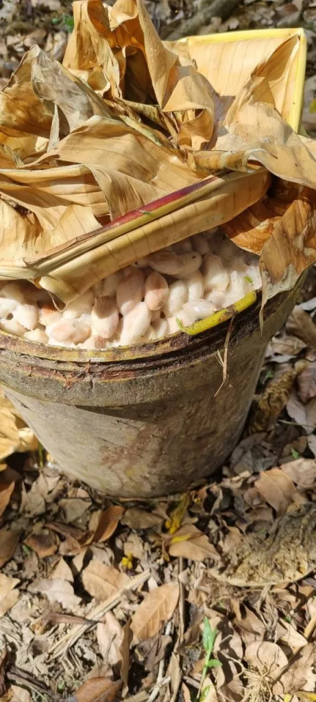 Mérida de Cakawa: la colección de chocolates que afirma que el cacao venezolano es andino