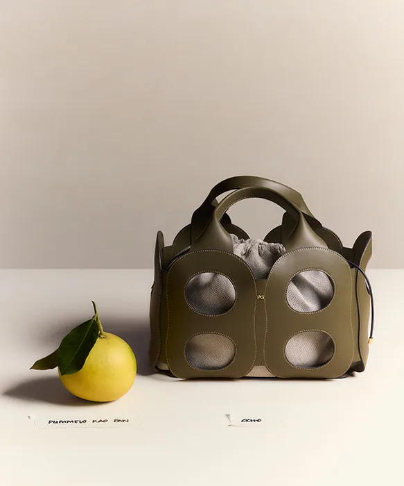 todolí citrus