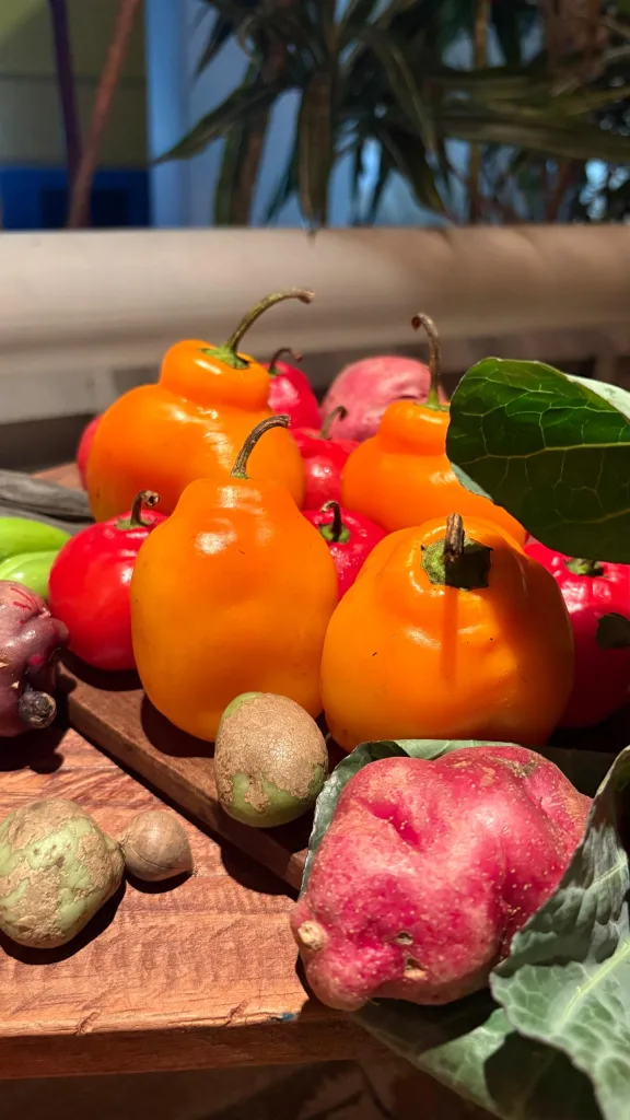 Teo Zurita Mérida Teo Zurita impulsa la despensa de Mérida con su alta cocina