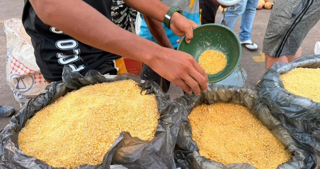 La Amazonía venezolana se traslada una semana a la UCAB