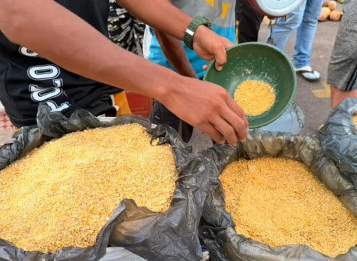 La Amazonía venezolana se traslada una semana a la UCAB