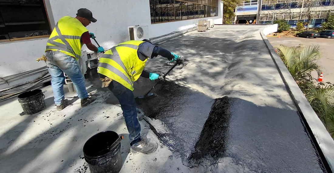 facultad de ciencias