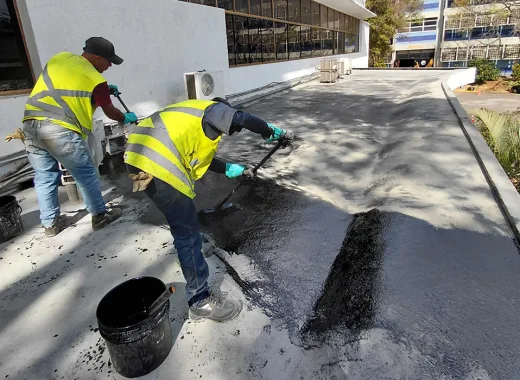 facultad de ciencias