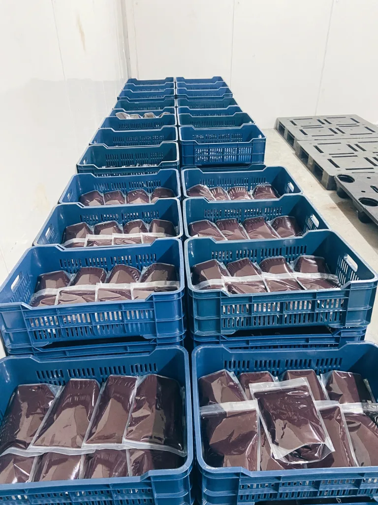 Palmazonia: la planta que procesa 1.200 kilos de açaí venezolano al mes