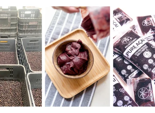 Palmazonia: la planta que procesa 1.200 kilos de açaí venezolano al mes