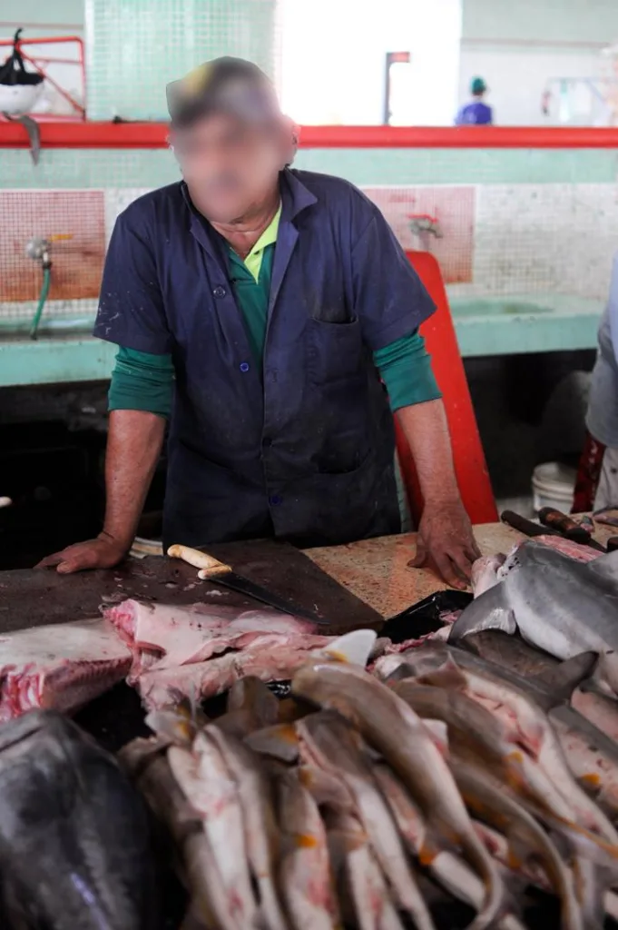 María Fernanda Capecchi
Jaime Llanos
Ana Teresa Herrera-Reveles
Mileidy Rivero