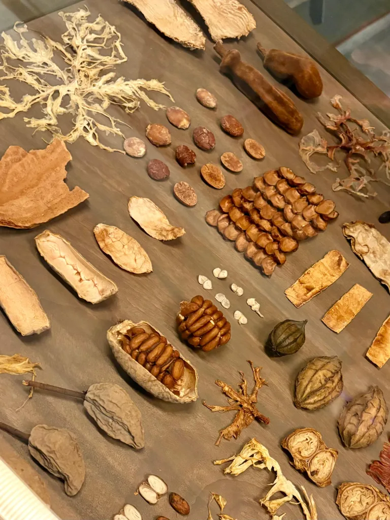 Kjolle revela el Perú profundo y lo sirve en la mesa