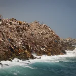 escombros