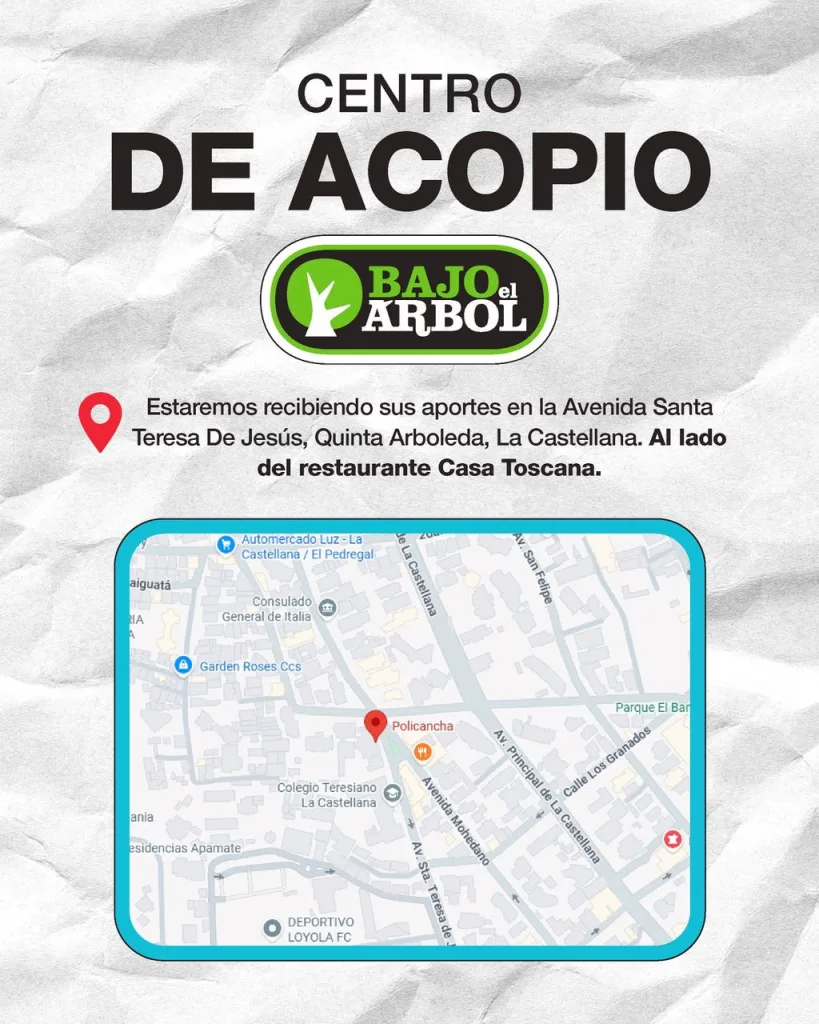 bajo el arbol