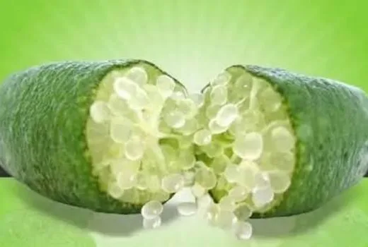 ¿El "limón caviar" existe o es un fake de las redes sociales?