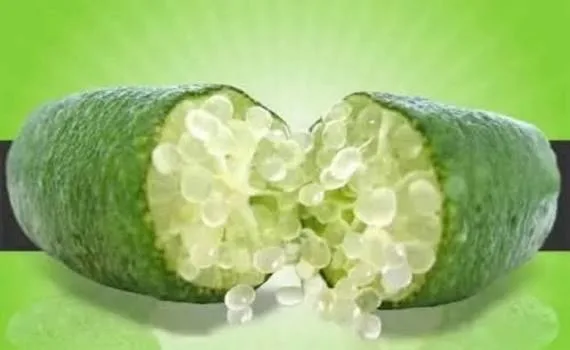 ¿El "limón caviar" existe o es un fake de las redes sociales?