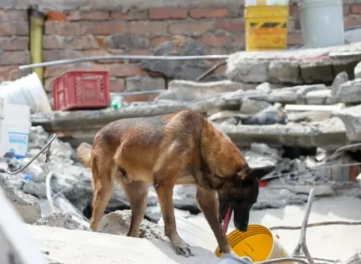 terremoto
