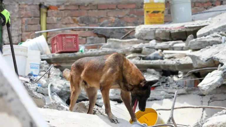 terremoto