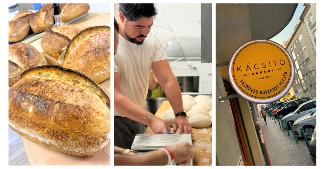 Venezolano gana premio al mejor pan campesino de masa madre de Hungría