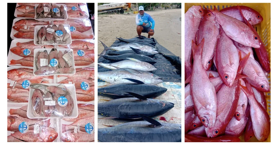 Frescura de mar: un pescador de La Guaira crea su propia marca para seguir resistiendo