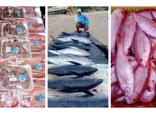 Frescura de mar: un pescador de La Guaira crea su propia marca para seguir resistiendo