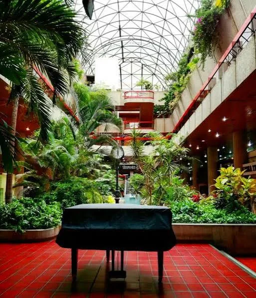 Paseo Las Mercedes: Alcaldía de Baruta asegura que no sabe nada del plan de  remodelación
