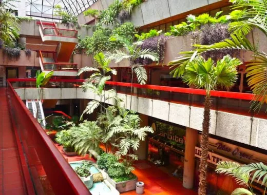 Paseo Las Mercedes: Alcaldía de Baruta asegura que no sabe nada del plan de remodelación