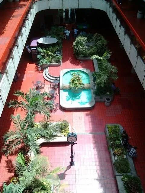 Paseo Las Mercedes: Alcaldía de Baruta asegura que no sabe nada del plan de  remodelación