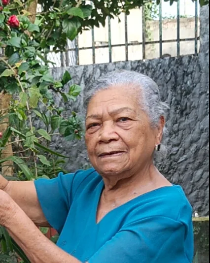 guasina