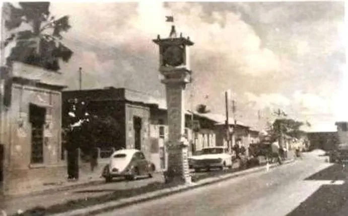 guasina